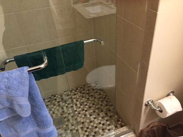 a bathroom with a toilet and a glass shower door with blue towels hanging from it